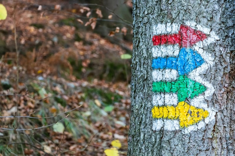 A collection of colorful question marks, representing common questions from users.